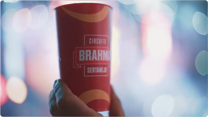 preview video